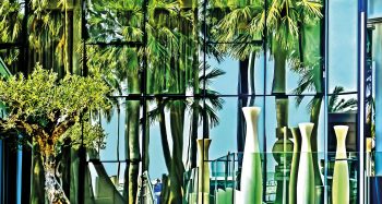 Spiegelung mit Palmen, Cannes